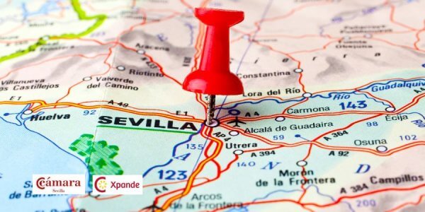Programa Xpande Digital de Cámara de Comercio Sevilla 2024